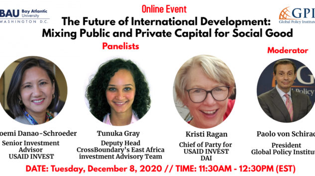 The Future of International Development: Mixing Public and Private Capital for Social Good